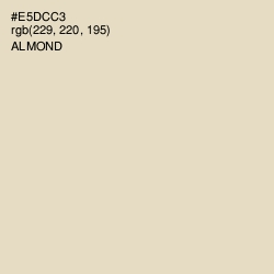 #E5DCC3 - Almond Color Image