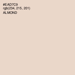 #EAD7C9 - Almond Color Image
