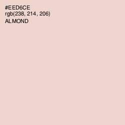 #EED6CE - Almond Color Image