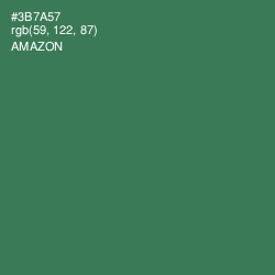 #3B7A57 - Amazon Color Image