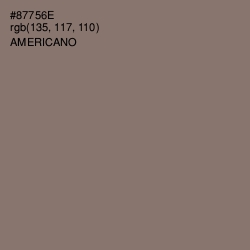 #87756E - Americano Color Image