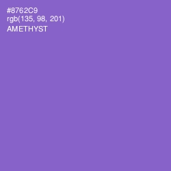 #8762C9 - Amethyst Color Image