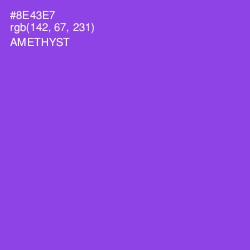 #8E43E7 - Amethyst Color Image