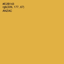 #E2B143 - Anzac Color Image