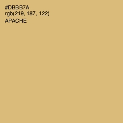#DBBB7A - Apache Color Image