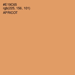 #E19C65 - Apricot Color Image