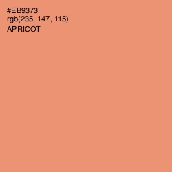 #EB9373 - Apricot Color Image