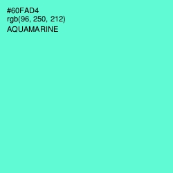 #60FAD4 - Aquamarine Color Image
