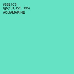 #65E1C3 - Aquamarine Color Image