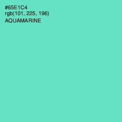 #65E1C4 - Aquamarine Color Image
