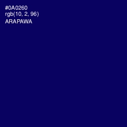 #0A0260 - Arapawa Color Image