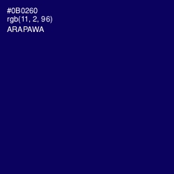 #0B0260 - Arapawa Color Image