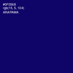 #0F0568 - Arapawa Color Image