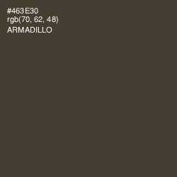 #463E30 - Armadillo Color Image