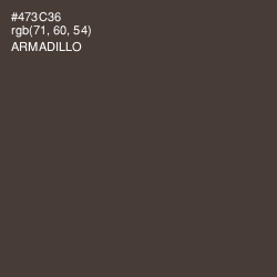 #473C36 - Armadillo Color Image