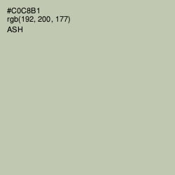 #C0C8B1 - Ash Color Image
