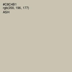 #C8C4B1 - Ash Color Image