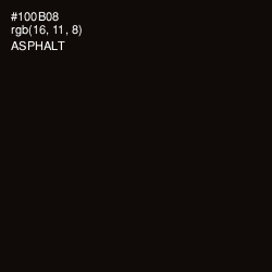 #100B08 - Asphalt Color Image