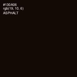 #130A06 - Asphalt Color Image