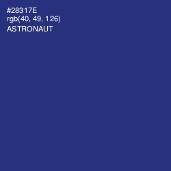 #28317E - Astronaut Color Image