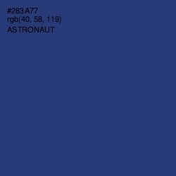 #283A77 - Astronaut Color Image