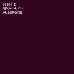#31041D - Aubergine Color Image