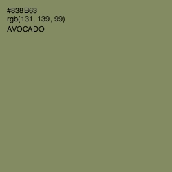 #838B63 - Avocado Color Image