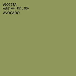 #90975A - Avocado Color Image