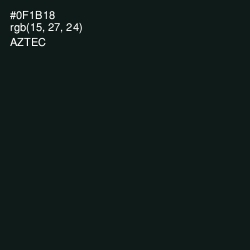 #0F1B18 - Aztec Color Image