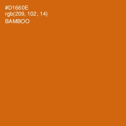#D1660E - Bamboo Color Image