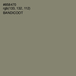 #858470 - Bandicoot Color Image