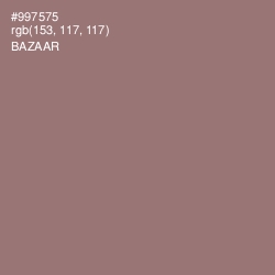 #997575 - Bazaar Color Image