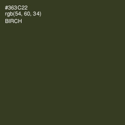 #363C22 - Birch Color Image