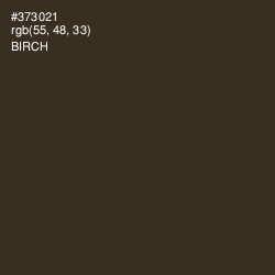 #373021 - Birch Color Image