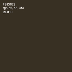 #383023 - Birch Color Image