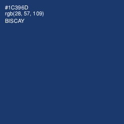 #1C396D - Biscay Color Image