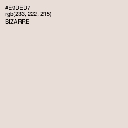 #E9DED7 - Bizarre Color Image