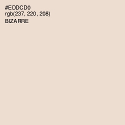 #EDDCD0 - Bizarre Color Image