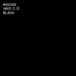 #000202 - Black Color Image