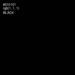 #010101 - Black Color Image