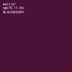 #4C1137 - Blackberry Color Image