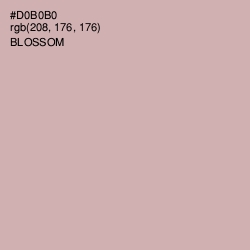 #D0B0B0 - Blossom Color Image