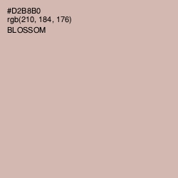 #D2B8B0 - Blossom Color Image