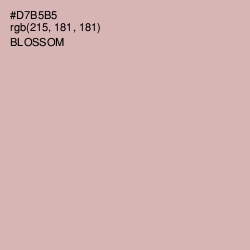 #D7B5B5 - Blossom Color Image