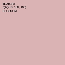 #DAB4B4 - Blossom Color Image