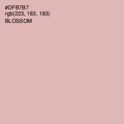 #DFB7B7 - Blossom Color Image