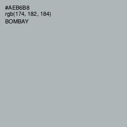 #AEB6B8 - Bombay Color Image