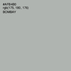 #AFB4B0 - Bombay Color Image