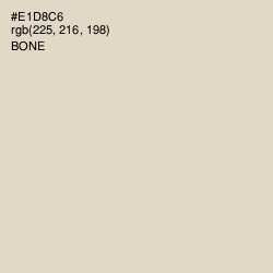 #E1D8C6 - Bone Color Image