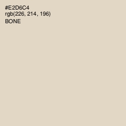#E2D6C4 - Bone Color Image